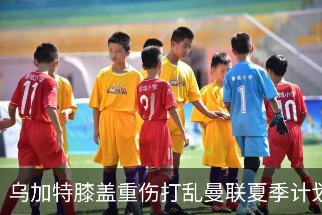 乌加特膝盖重伤打乱曼联夏季计划，FIFA 最高或赔付5857万元